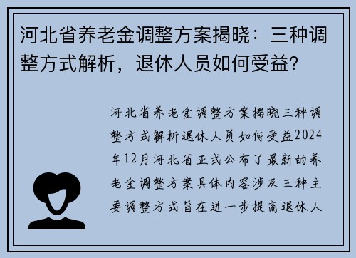 河北省养老金调整方案揭晓：三种调整方式解析，退休人员如何受益？