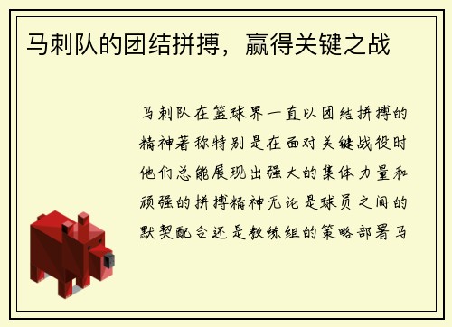 马刺队的团结拼搏，赢得关键之战